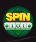 Spin 101
